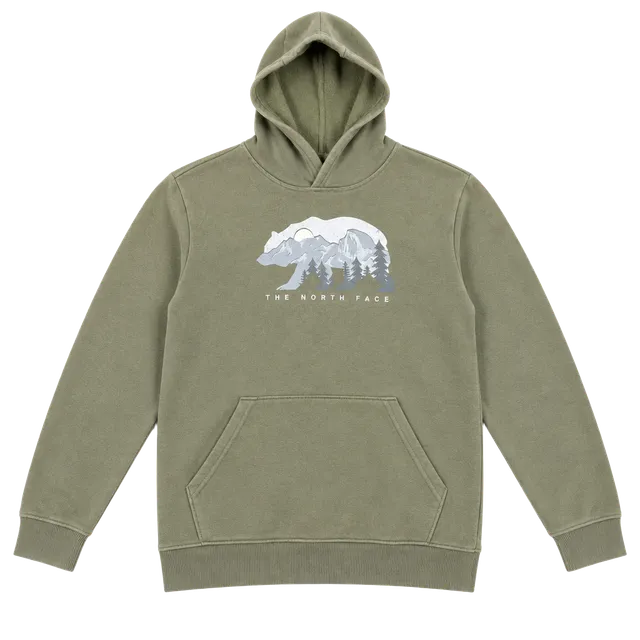 The North Face Bear Mountain Graphic Hoodie Olive Green#171
