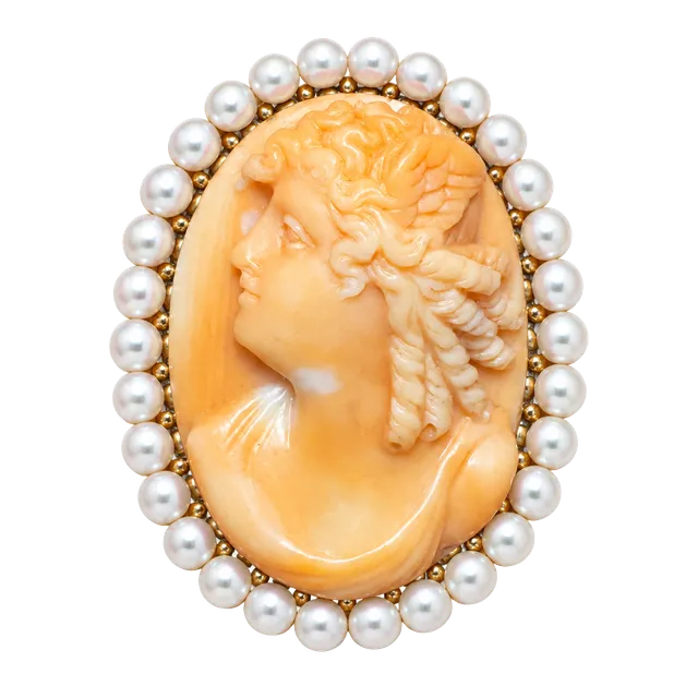 14K Gold Vintage Carved Coral Shell Cameo Brooch with Pearl Border