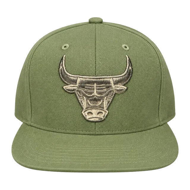 Mitchell & Ness Chicago Bulls Snapback Hat Adjustable Green