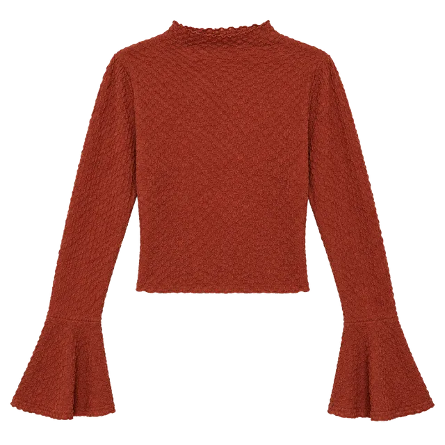 Textured Long Sleeve Crop Top Rust Brown Bell Sleeves Mock Neck
