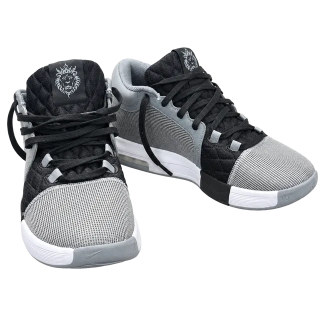 Nike Lebron Witness VIII Size 12 Cool Grey White Black FB2239-004