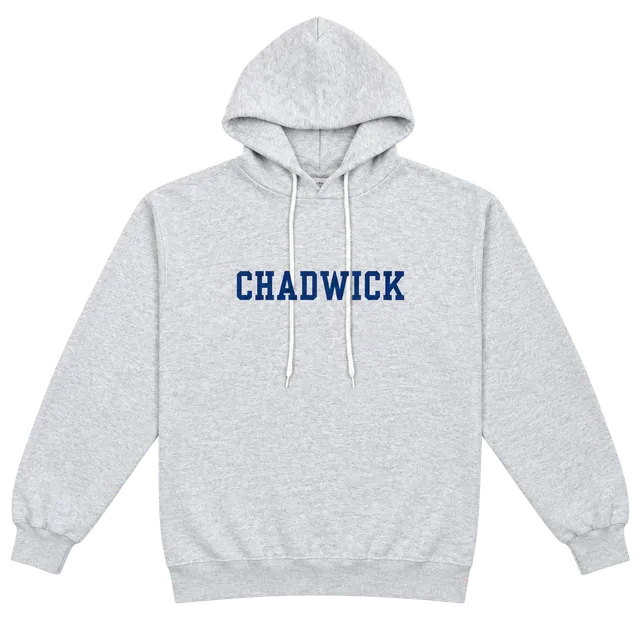 Vintage 90s Santee Sweats Chadwick Hoodie Size XL Grey Heavyweight Made In USA