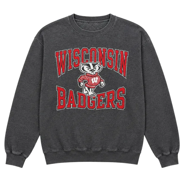Champion Wisconsin Badgers Sweatshirt Size M Gray Crewneck Pullover