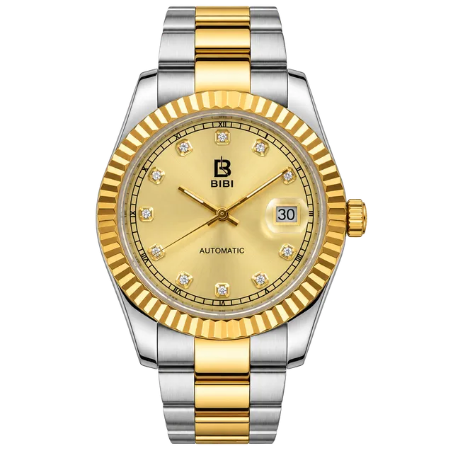 Bibi Automatic Pro Diver Stainless Steel