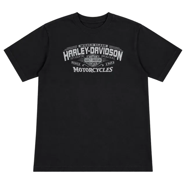 2006 Harley Davidson Buffalo New York Tee