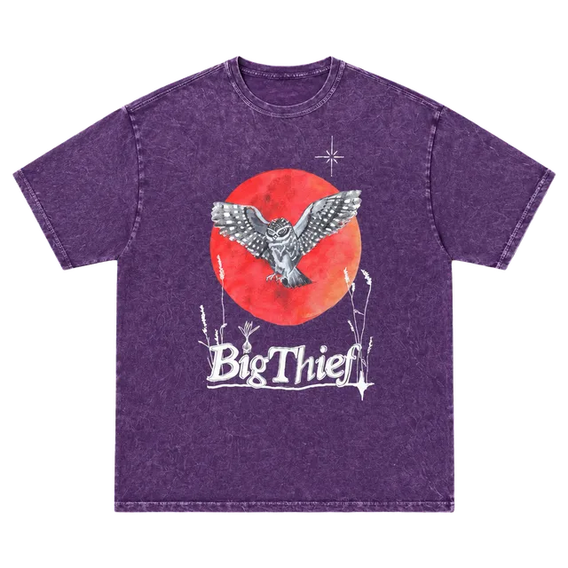 Colortone Big Thief Owl Band T-Shirt Size L Purple Vintage Washed Tee