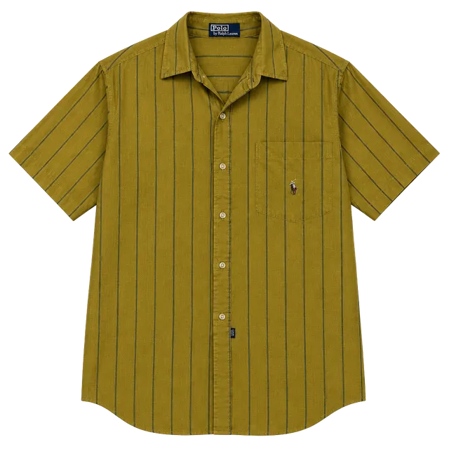 Polo Ralph Lauren Mens Button-Up Dress Shirt XL Multicolor RL Pony
