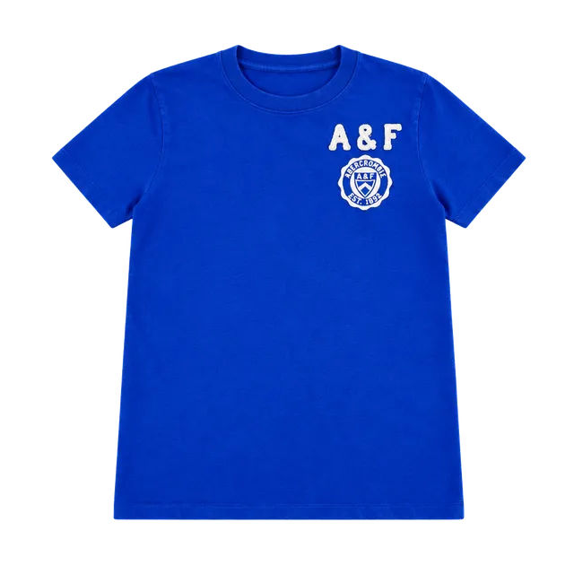 Abercrombie & Fitch A&F Graphic T-Shirt Size S Blue Muscle Fit