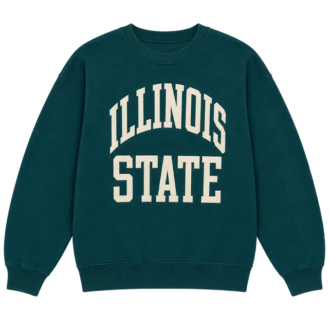 Vintage Fruit Of The Loom Illinois State Sweatshirt XL Teal Graphic Crewneck