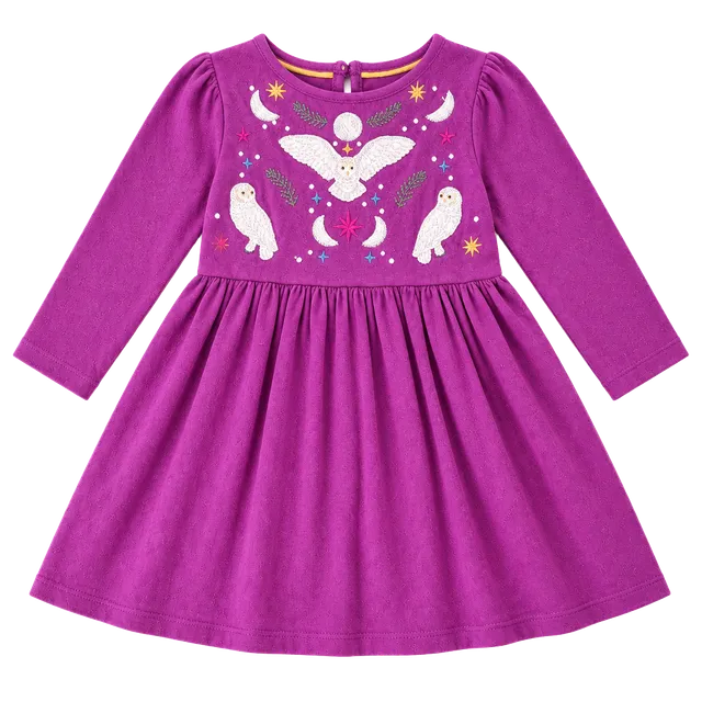 Mini Boden Dress 12-18M Purple Owl Embroidered