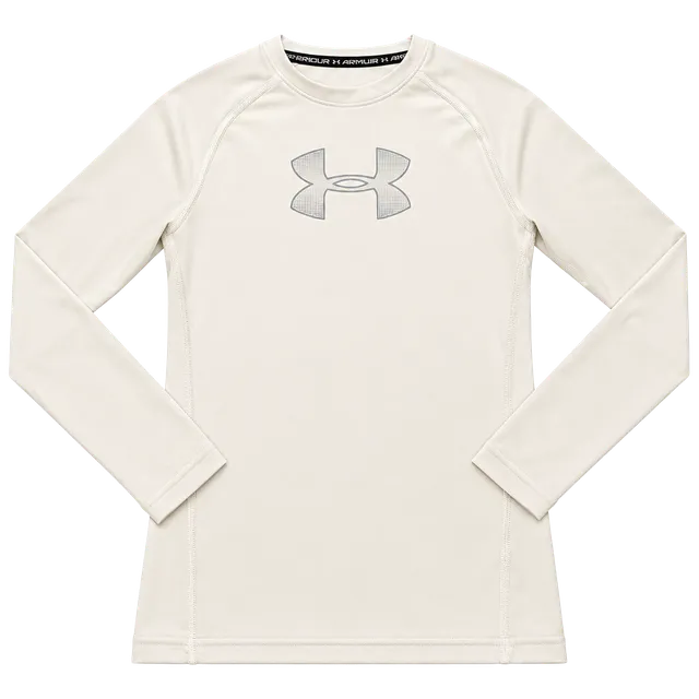 Under Armour HeatGear Fitted Long Sleeve Shirt YMD White