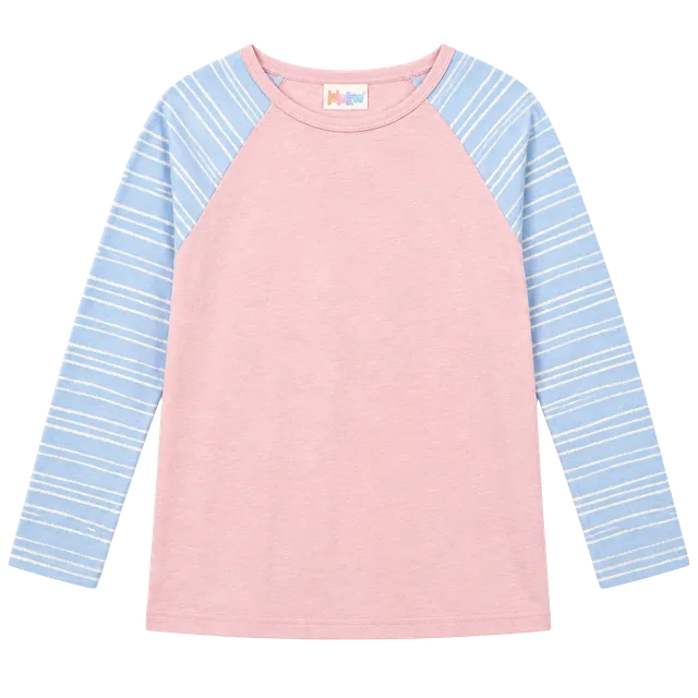LuLaRoe Randy Size L Pink Blue Striped Raglan Tee