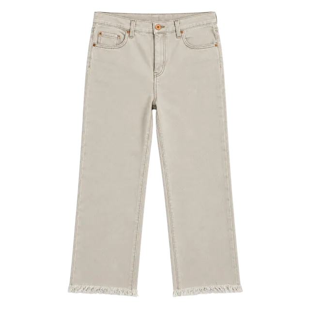NWT INC Denim Core Wide Leg Crop 10/30