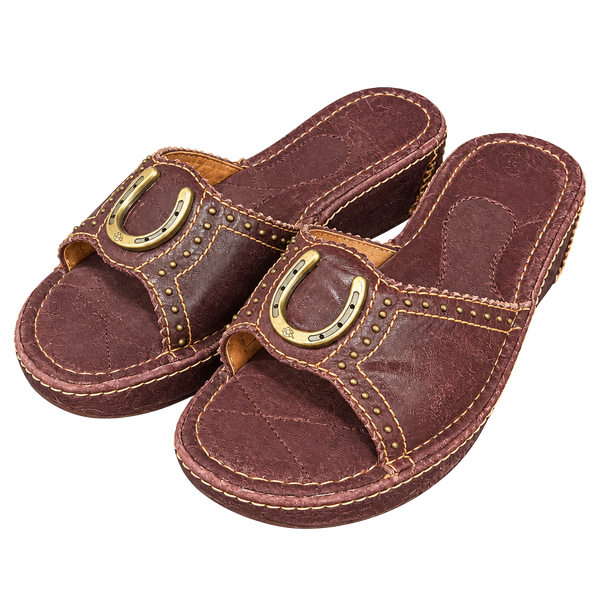 Ariat Casey Wedge Slide Sandals Size 9 Brown Leather Horseshoe