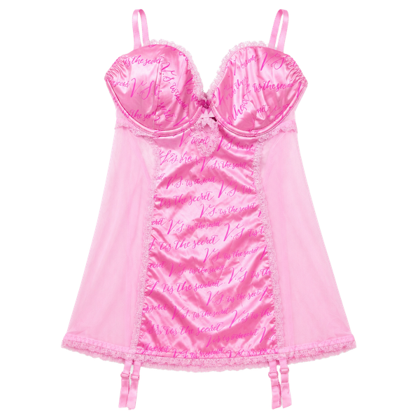 Limited Edition Victoria's Secret Fashion Show Merry Size 36D Pink Garter Slip
