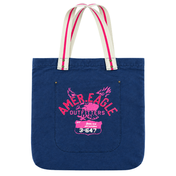 American Eagle Outfitters Canvas Tote Bag Blue Pink Striped Handles