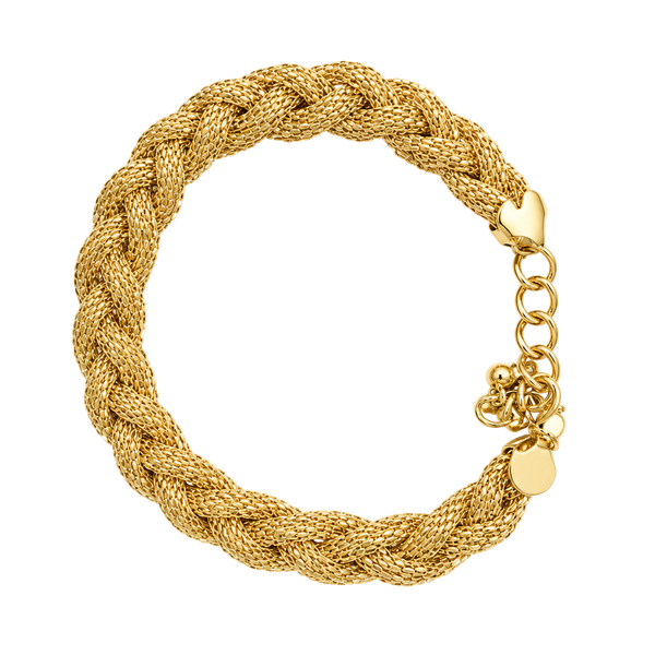 Express Gold Tone Braided Mesh Choker Necklace