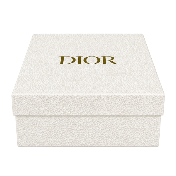 Dior Platinum Member Gift Set 2024 Jewelry Case with Box