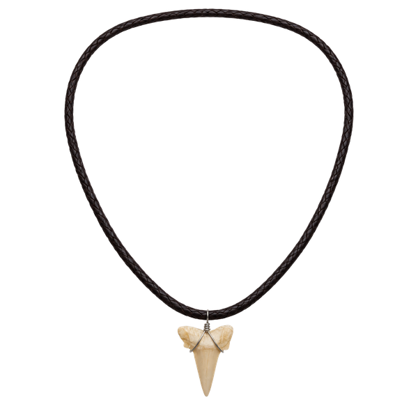 Baja Billy's Shark Tooth Leather Necklace