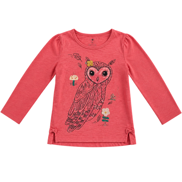 Carters Owl Graphic Long Sleeve Shirt Size 5T Pink