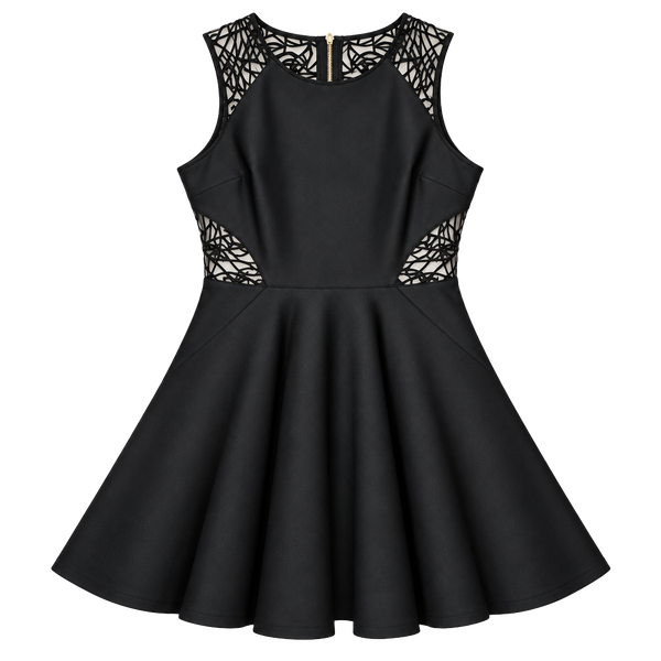 Ted Baker Venma Skater Dress Size 4 Black Lace (q1)