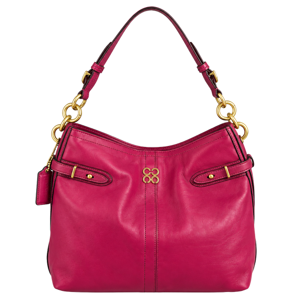 Coach Colette Plum Leather Hobo Bag 16413
