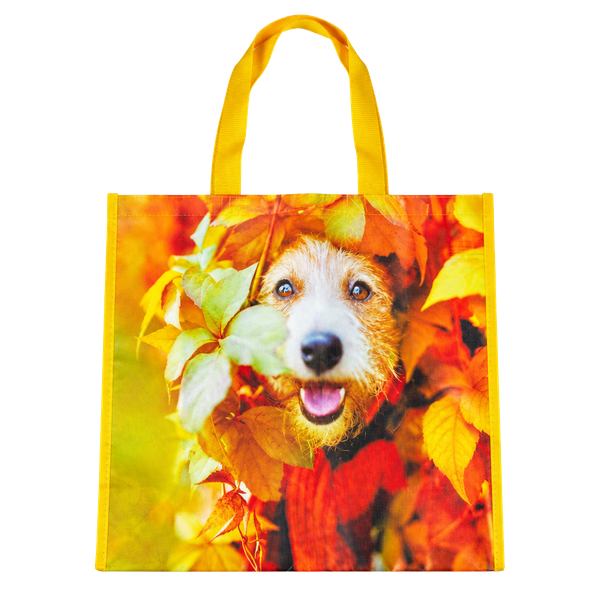 Kohl's Large Reusable Tote Bag Dog Autumn Leaves