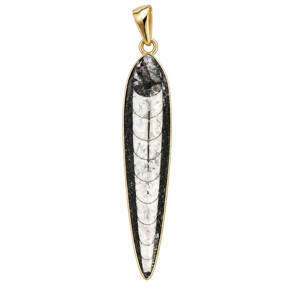 Charles Albert Orthoceras Fossil Pendant Gold Tone