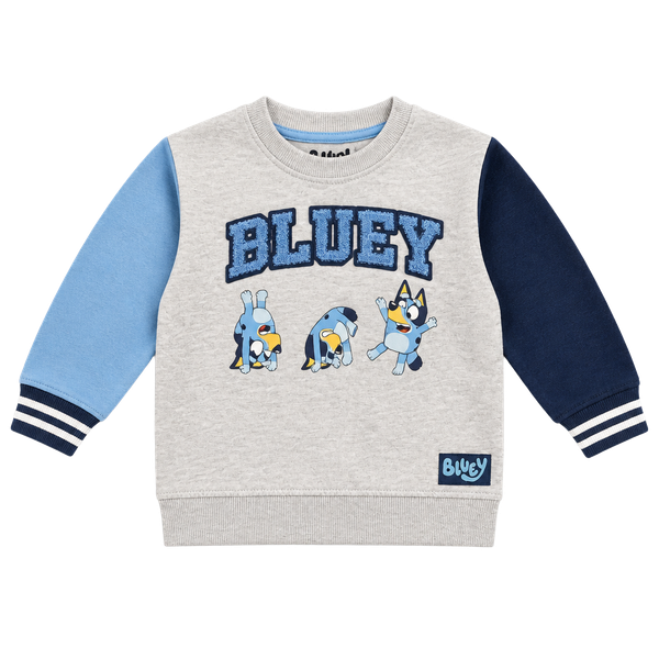 Toddler Bluey Colorblock French Terry Sweatshirt - Grey