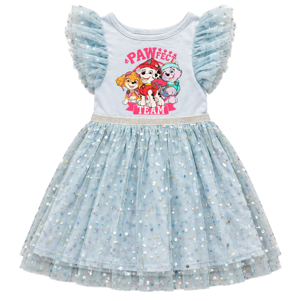Nickelodeon Paw Patrol Tutu Dress Size 4T Blue