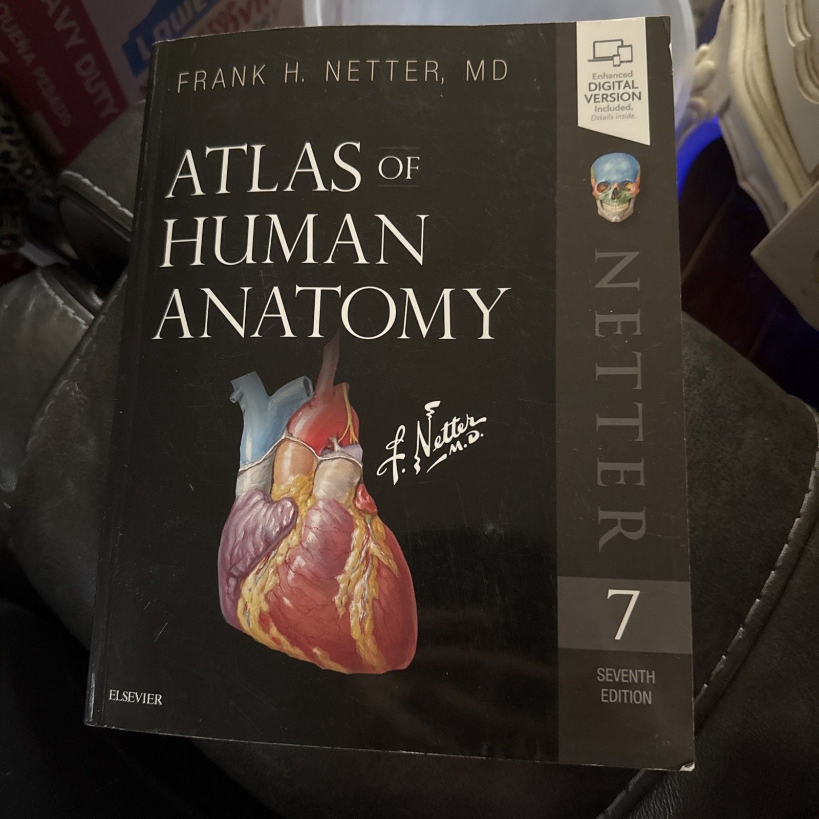 ATLAS Of Human Anatomy By Netter 7th ed 1