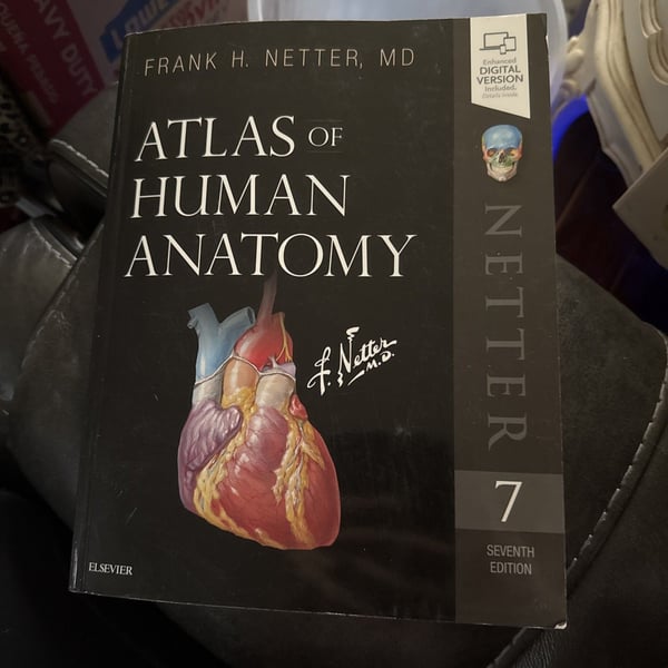 ATLAS Of Human Anatomy By Netter 7th ed