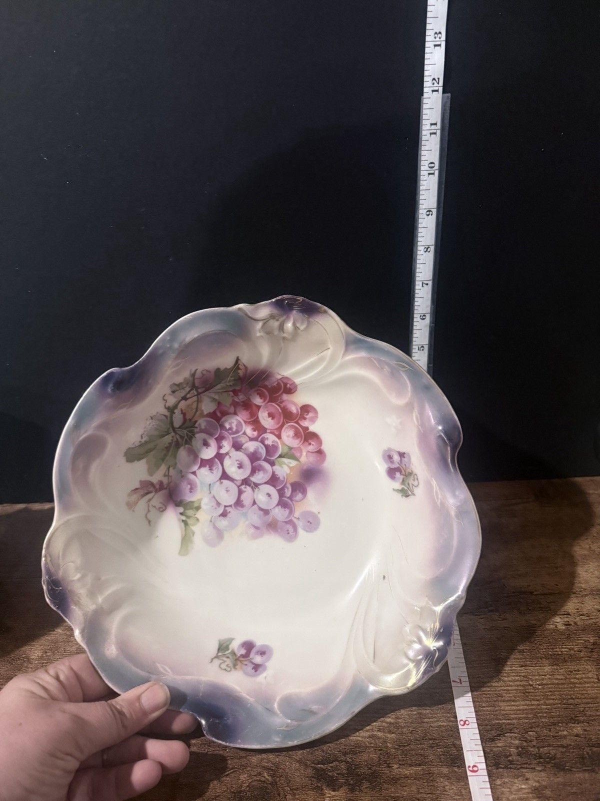Rare Czechoslovakia Berry Bowl Set with 12 Matching Berry Bowls Antique 5
