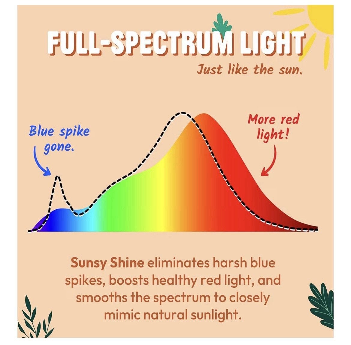 Shine - The Full-Spectrum Truly Flicker-Free Sunlight Bulb for Humans - Boost... 4