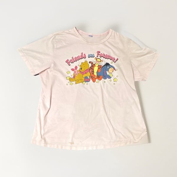 Disney Winnie the Pooh Friends Are Forever Graphic T-Shirt, Pink