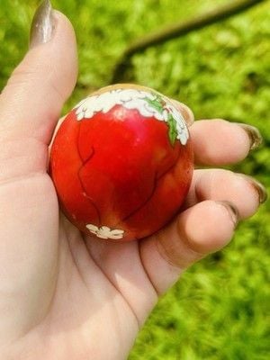 VTG 1990 Handpainted & Artist Signed Santa & Rudolph The Red Nosed Reindeer Eggs 20