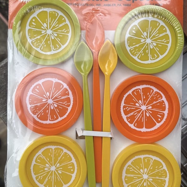 Retro 1970s 12 Pc  Coaster Set Sunshine Summertime Citrus Florida Gift Lake
