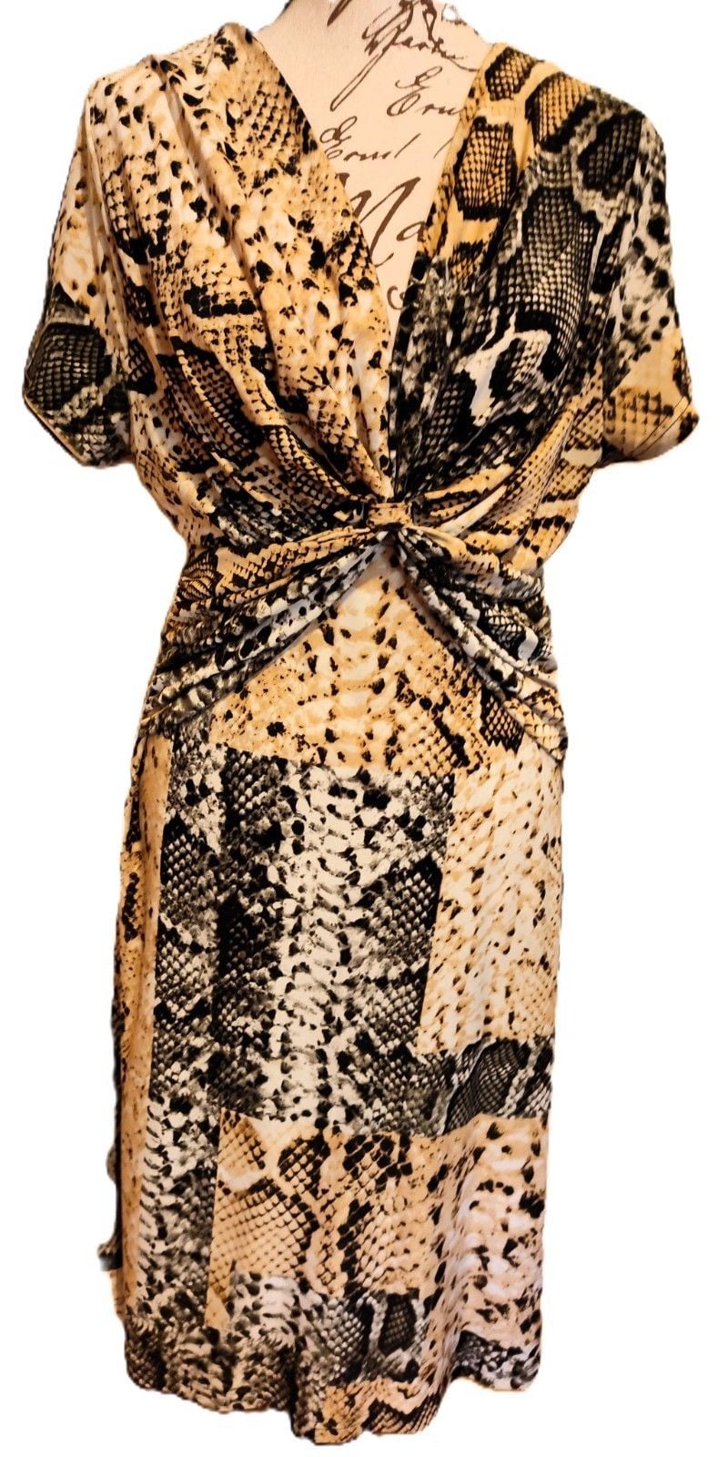 Sexy Animal Print V Neck Dress with Rouching at the Waist By MLLE Gabrielle SZ M 2