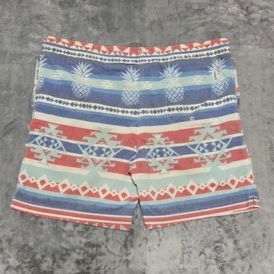 VTG Chubbies Pineapple Multicolored Rad Dad Retro-style Swimwear Trunks Sz M 9