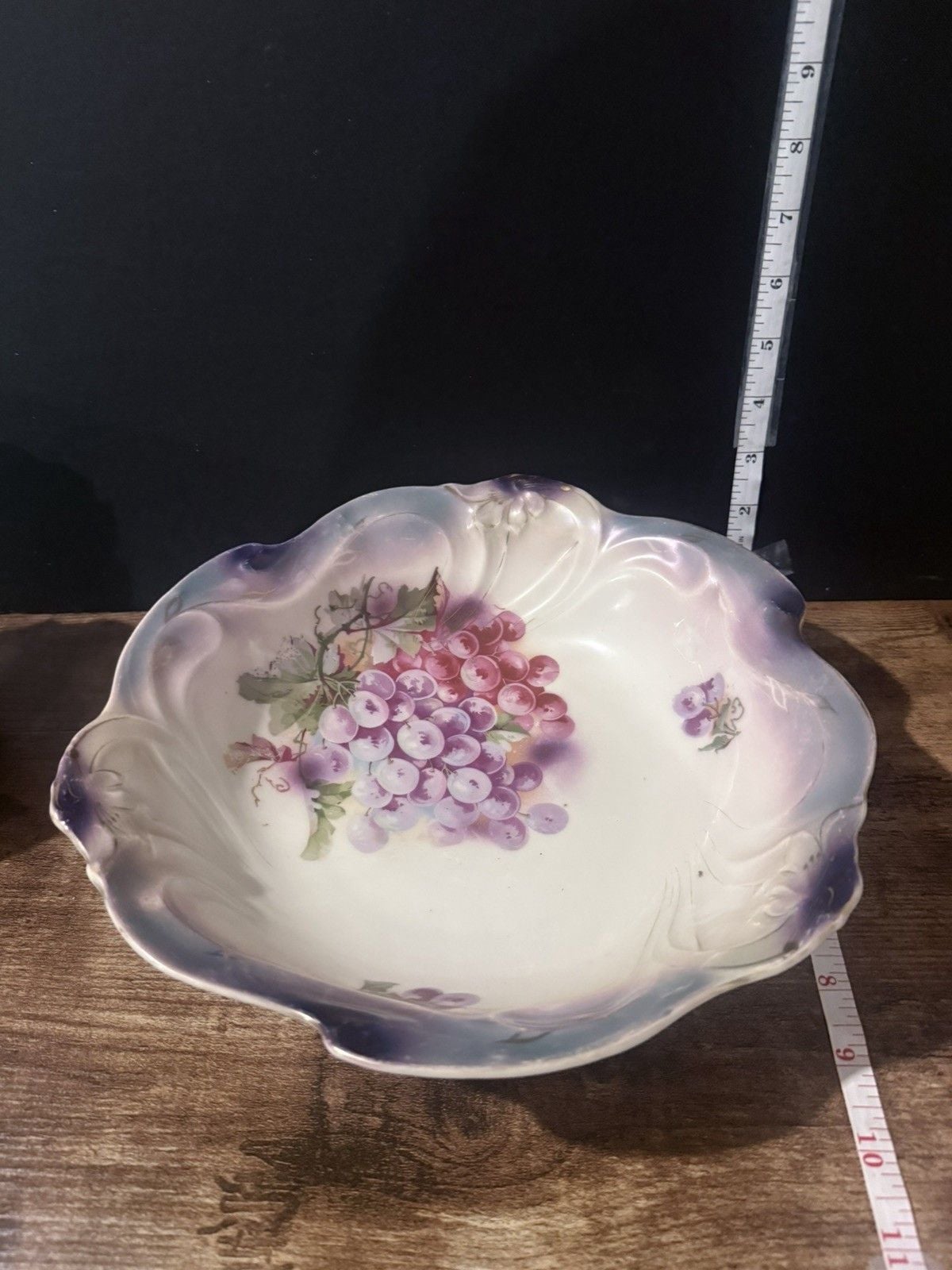 Rare Czechoslovakia Berry Bowl Set with 12 Matching Berry Bowls Antique 6