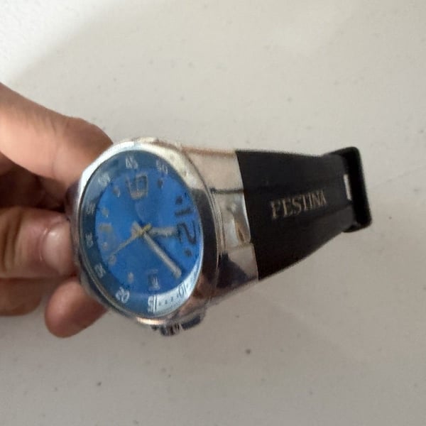 Festina’s Men’s Watch