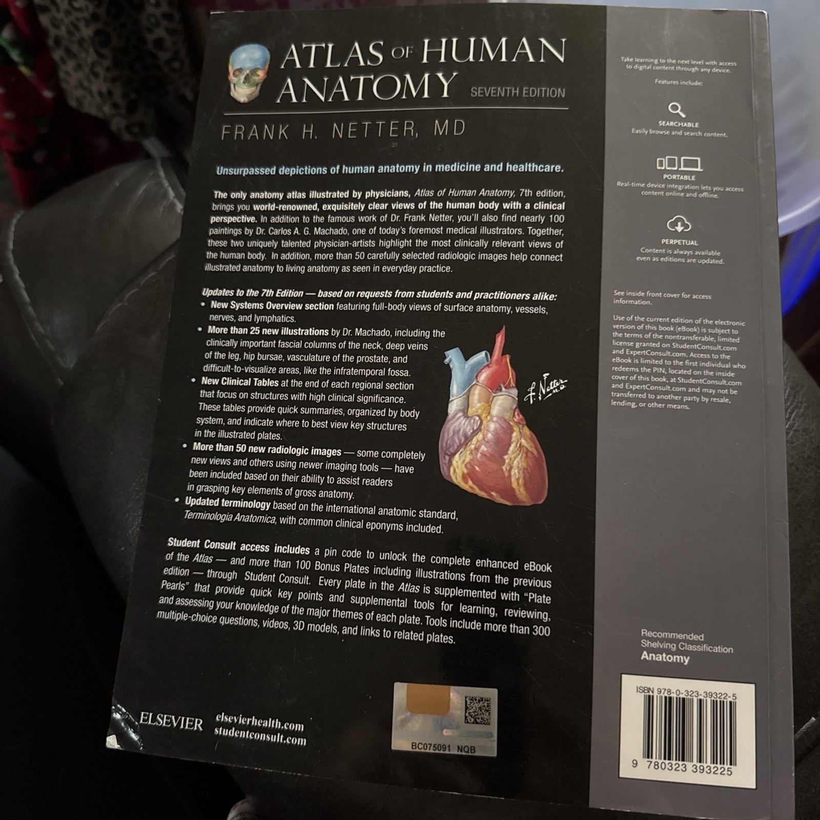 ATLAS Of Human Anatomy By Netter 7th ed 2