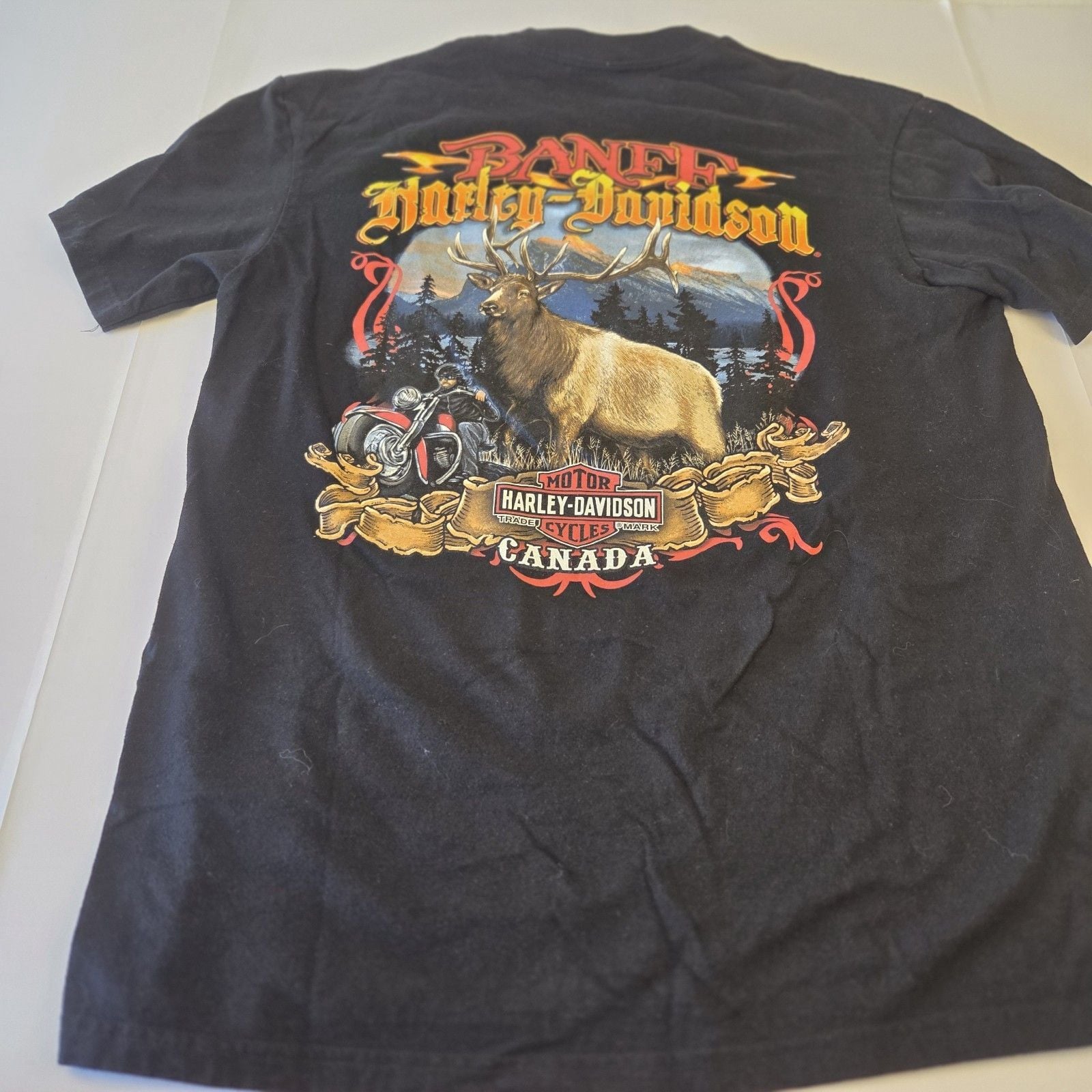 VTG 2015 Harley-Davidson Banff Canada Moose On The Loose Graphic T-Shirt Size L 3