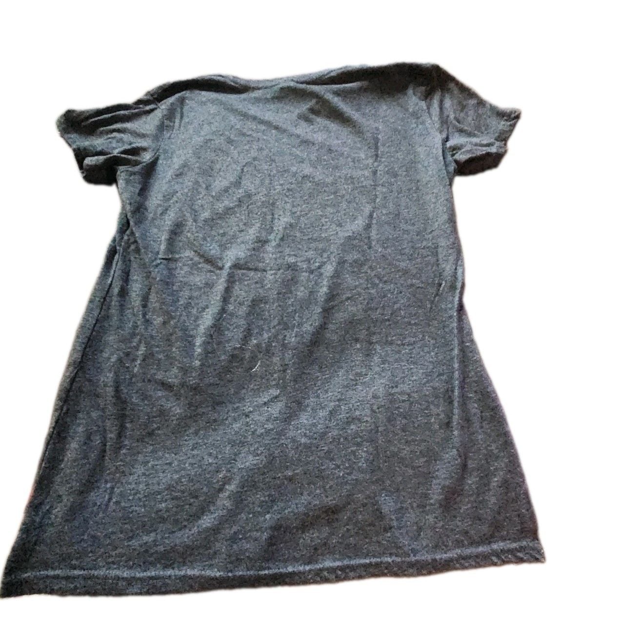 Instant Message Gray "Toasted at the Lake" Graphic Tee Unisex L Crew Neck 4