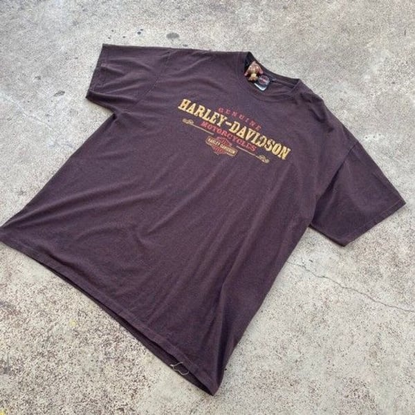 Harley-Davidson Brown Graphic T-Shirt