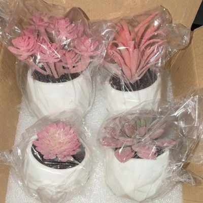CADNLY Artificial Succulent Arrangement Set of 4 Pink Green Plants in White Pots 2