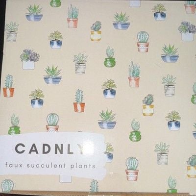 CADNLY Artificial Succulent Arrangement Set of 4 Pink Green Plants in White Pots 3