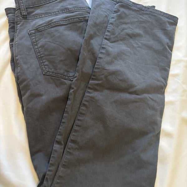 Flint and Tinder Men’s Straight Fit Straight Leg Pants Gray Solid 29W