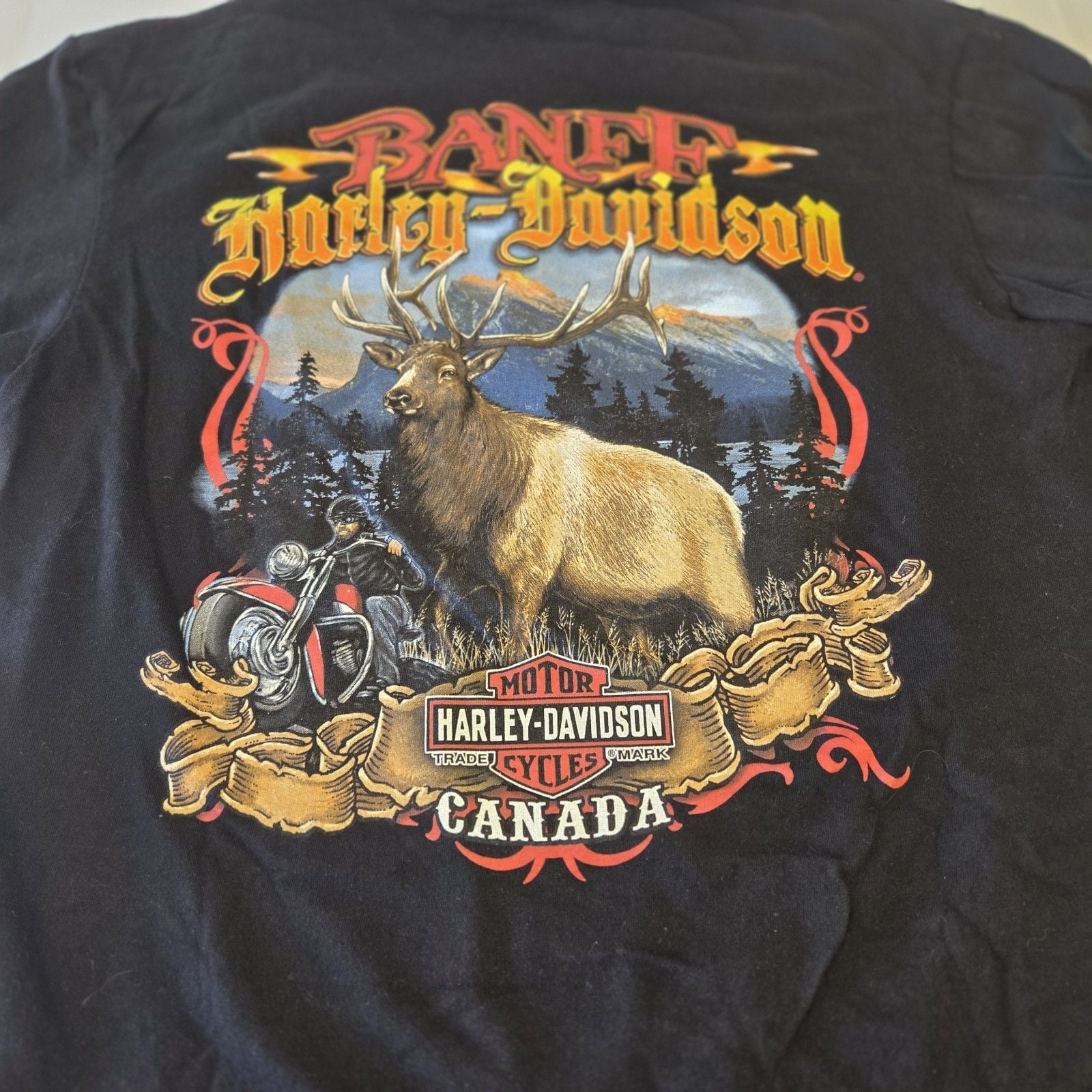 VTG 2015 Harley-Davidson Banff Canada Moose On The Loose Graphic T-Shirt Size L 4