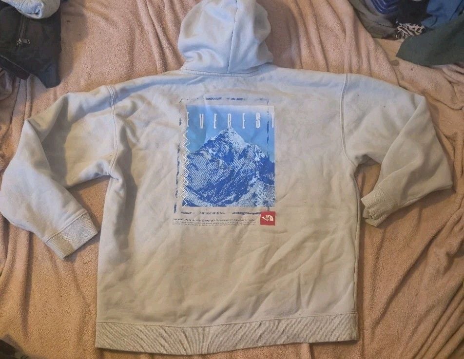 The North Face Hoodie Womens Pullover Graphic Back Logo Fleece 3